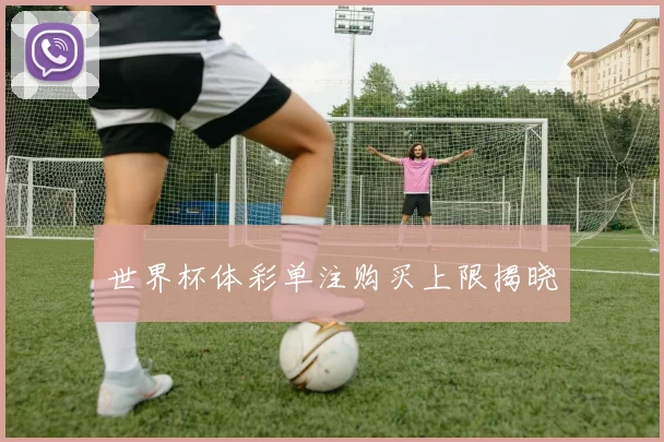 世界杯体彩单注购买上限揭晓